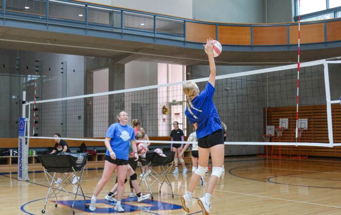 beginner volleyball skills