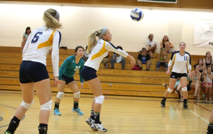 volleyball players overuse injuries